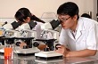 Chương trình hành động thực hiện Nghị quyết số 20-NQ/TW của Đảng